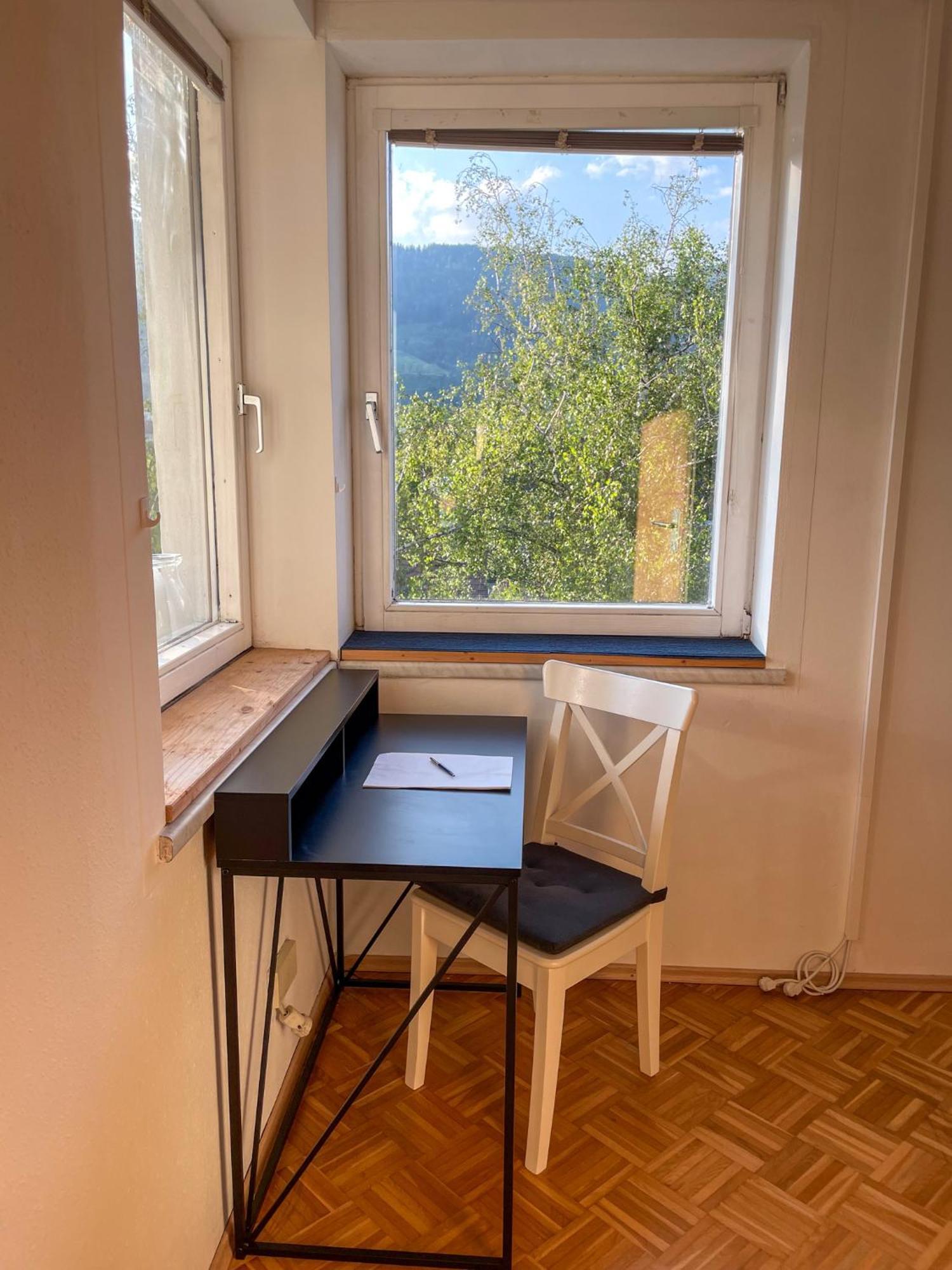 Melior City View Apartment Леобен Экстерьер фото